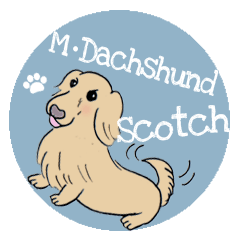 Miniature Dachshund Scotch Sticker