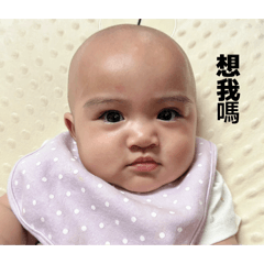 小菠蘿初登場！