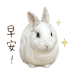 歐哩哩^^