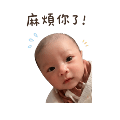 馬鈴薯（回覆篇