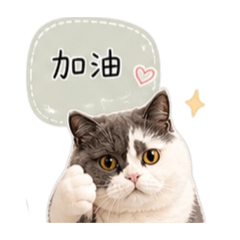 肉包大可愛