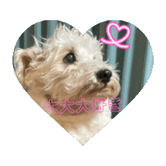 RENKA_20260517102051