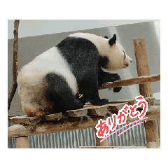 AITO_20260517131321