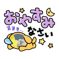 RENKA_20260517110449