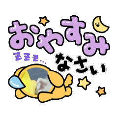RENKA_20260517110746