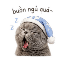 Gorou moe