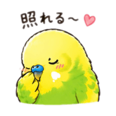 bird'sfeelings