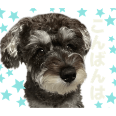 momokoharada_20260513220148