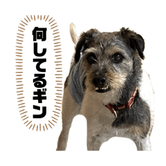 sankyou_20260513220813