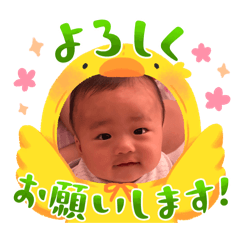 ERINA_20260513221513
