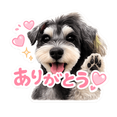 Key._20260513221140