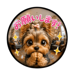Yorkiemama_20260513221638