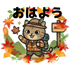 Three adorable cat sisters in autumn