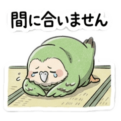 shisa_20260513222151