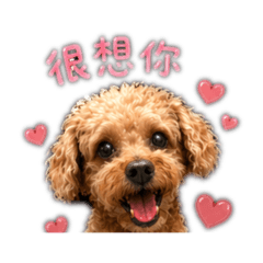 最可愛的阿寶寶貝