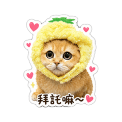 咪露～part2