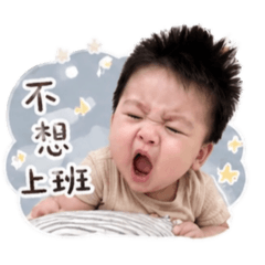 糰子霖-上班語錄