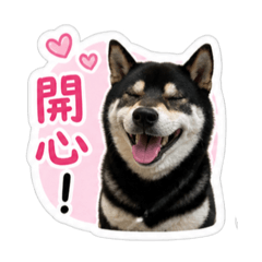 薯條是個好狗勾