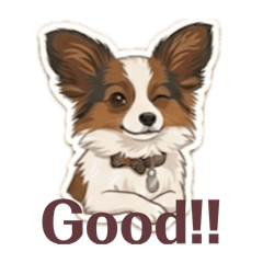 Papillon_20260503222204