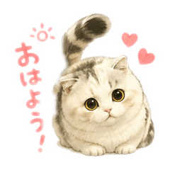 Daruma_20260513222734
