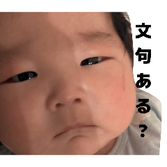 mai_20260513222253