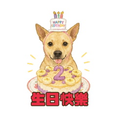 五吉の日常生活llI