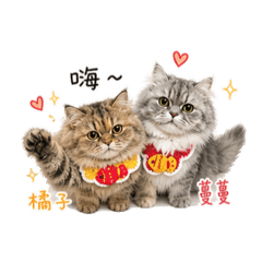 橘子與蔓蔓