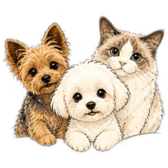 Pets52000