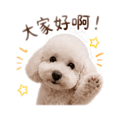 吳球球寶寶