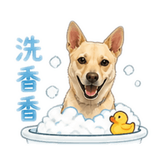 米克斯-粉圓