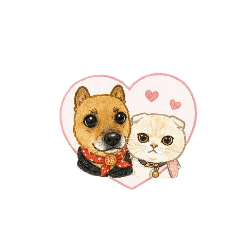 小毛&Q比