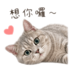 甘小咘的日常生活