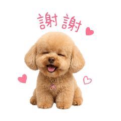 親愛的紅豆