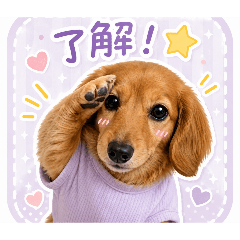 coco-0401