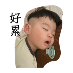 表情包是我本人