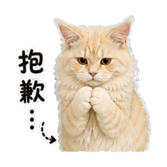 二哈緬因