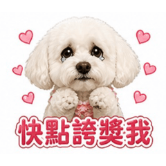 小公主popo