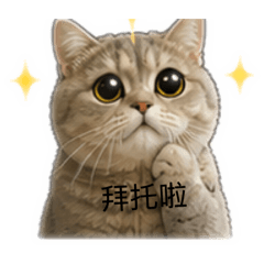 喵喵撞地球