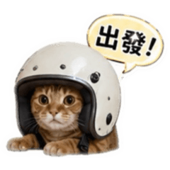 言羅王家小卯咪_綜合版
