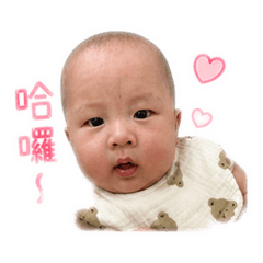 宸宸包貝