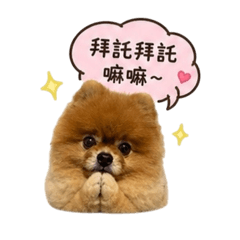 羅饅頭の日常
