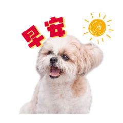 廖皮皮寶寶的日常可愛貼圖