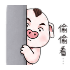 只是豬頭