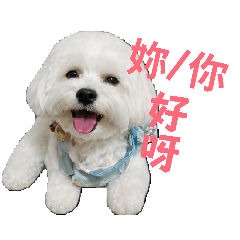 改編樂樂小日常