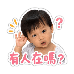 Little Bao小肉包：超實用日常回覆篇