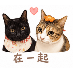 元寶和露露