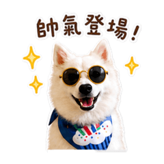 Q比、