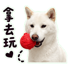 咪嚕の萬用貼圖 加量版！✨