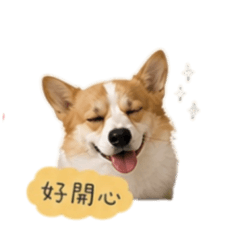 Xuan_20260502001932 – LINE stickers | LINE STORE