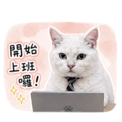 麻吉的上班生活